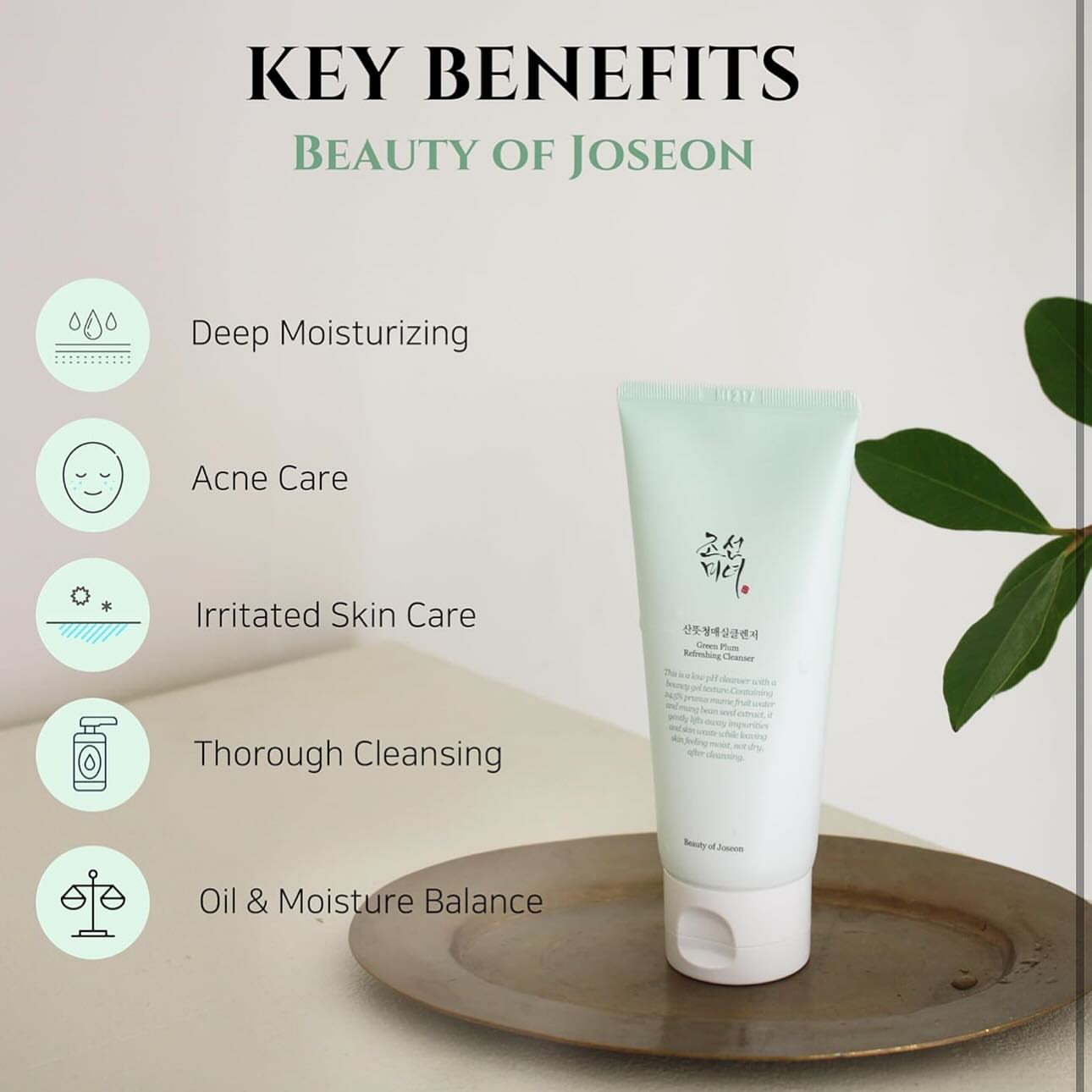 Green Plum Refreshing Cleanser